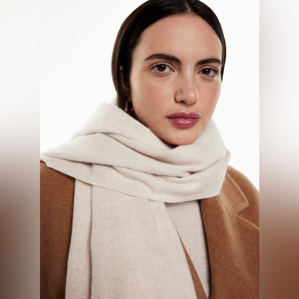 Aritzia Babaton 100% Cashmere Rectangle With Twisted Fringe Edges Scarf - Picture 2 of 6